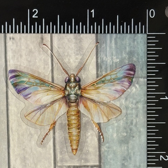 ๐10/$10๐ Translucent Moth Dragonfly Beetle Reusable Waterproof Sticker Decal - Picture 1 of 1